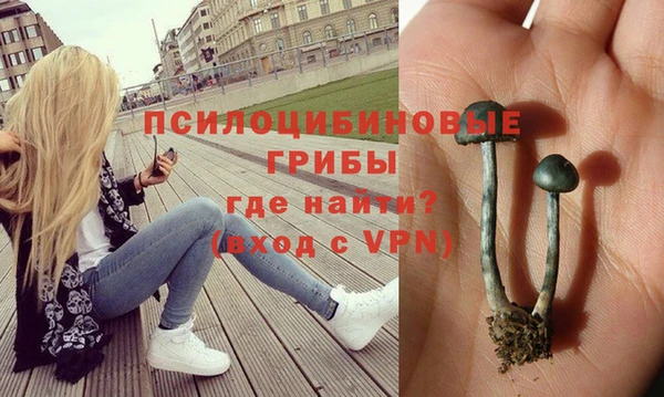 прущие крисы Пролетарск