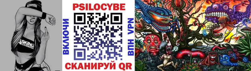 где найти   Абинск  Галлюциногенные грибы GOLDEN TEACHER 