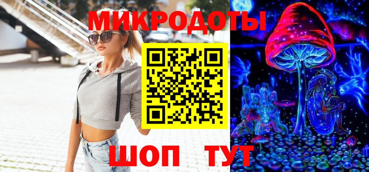 Галлюциногенные грибы Psilocybe Абинск