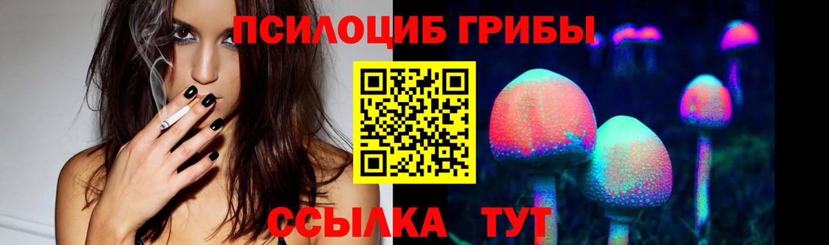 Галлюциногенные грибы Cubensis Абинск